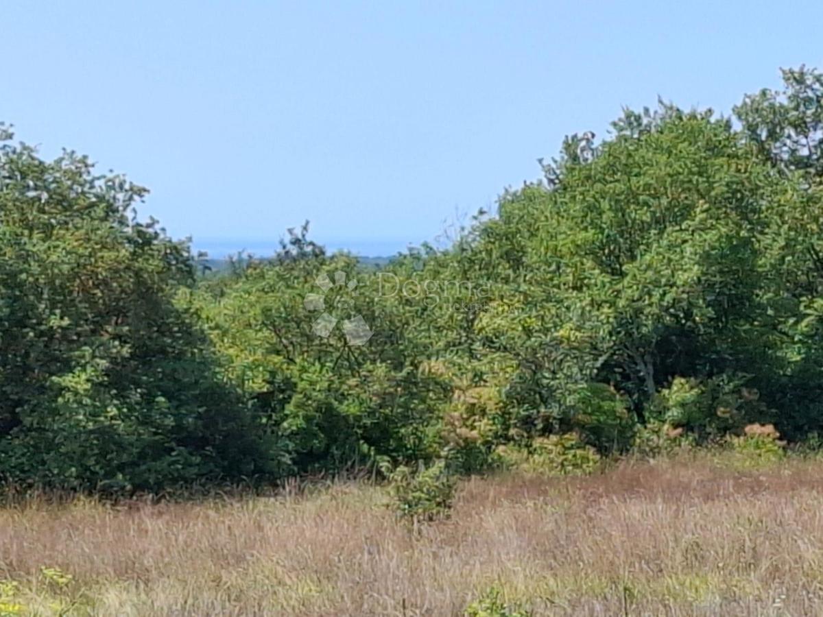 Zazidljivo zemljišče Kaštel, Buje, 999m2