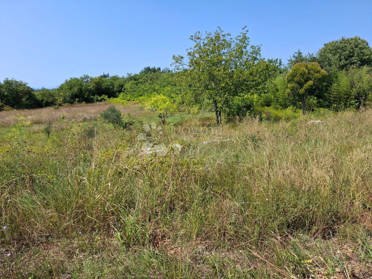 Zazidljivo zemljišče Kaštel, Buje, 999m2