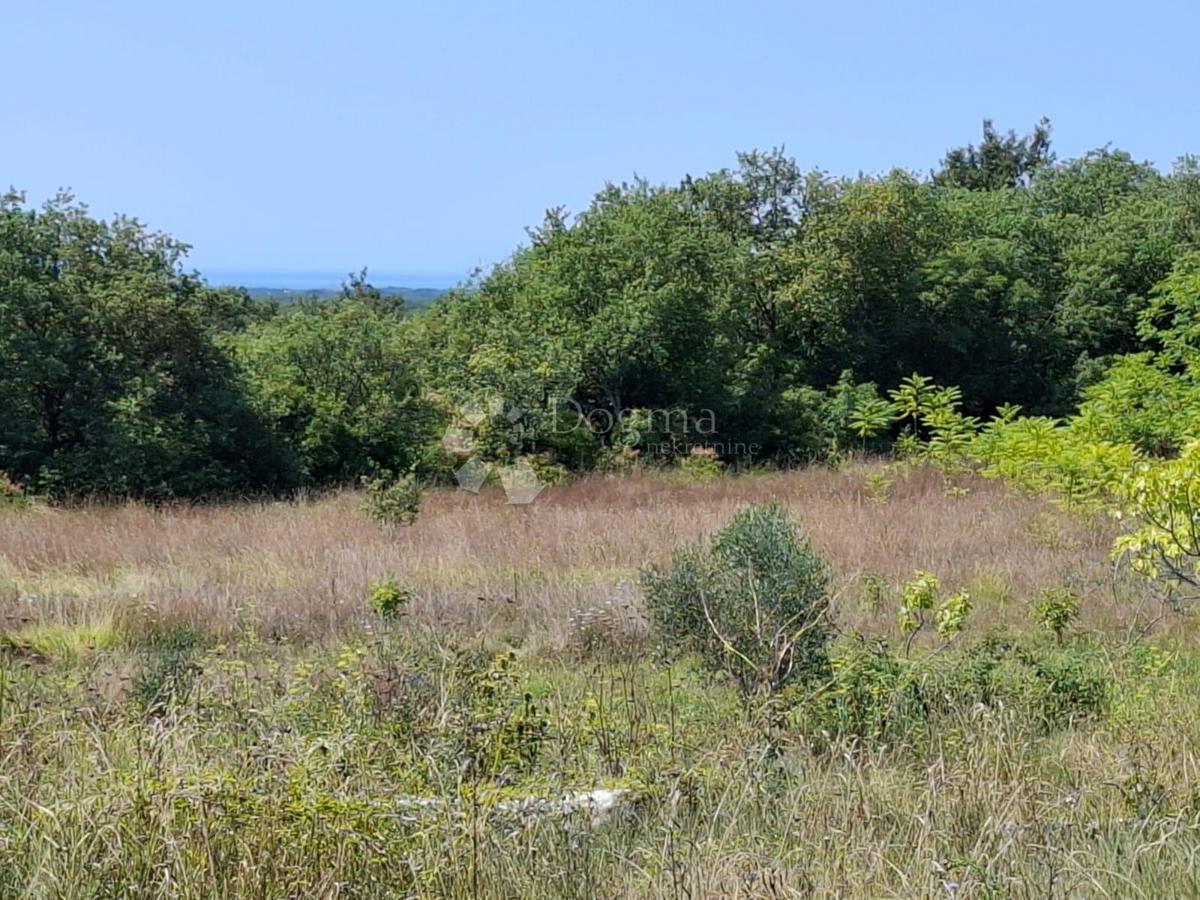 Zazidljivo zemljišče Kaštel, Buje, 999m2