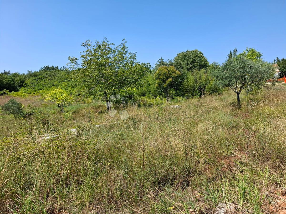 Zazidljivo zemljišče Kaštel, Buje, 999m2