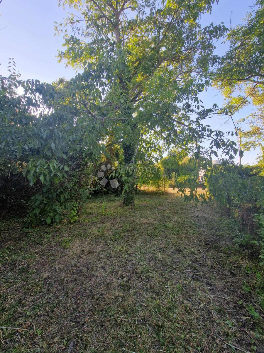 Hiša Erdut, 440,50m2