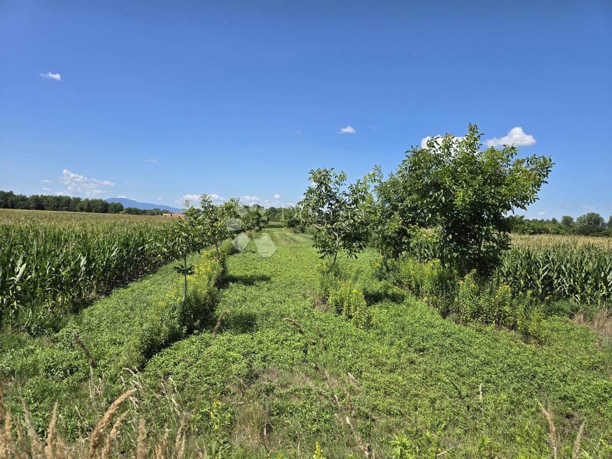 Kmetijsko zemljišče Donji Kućan, Varaždin - Okolica, 2.962m2