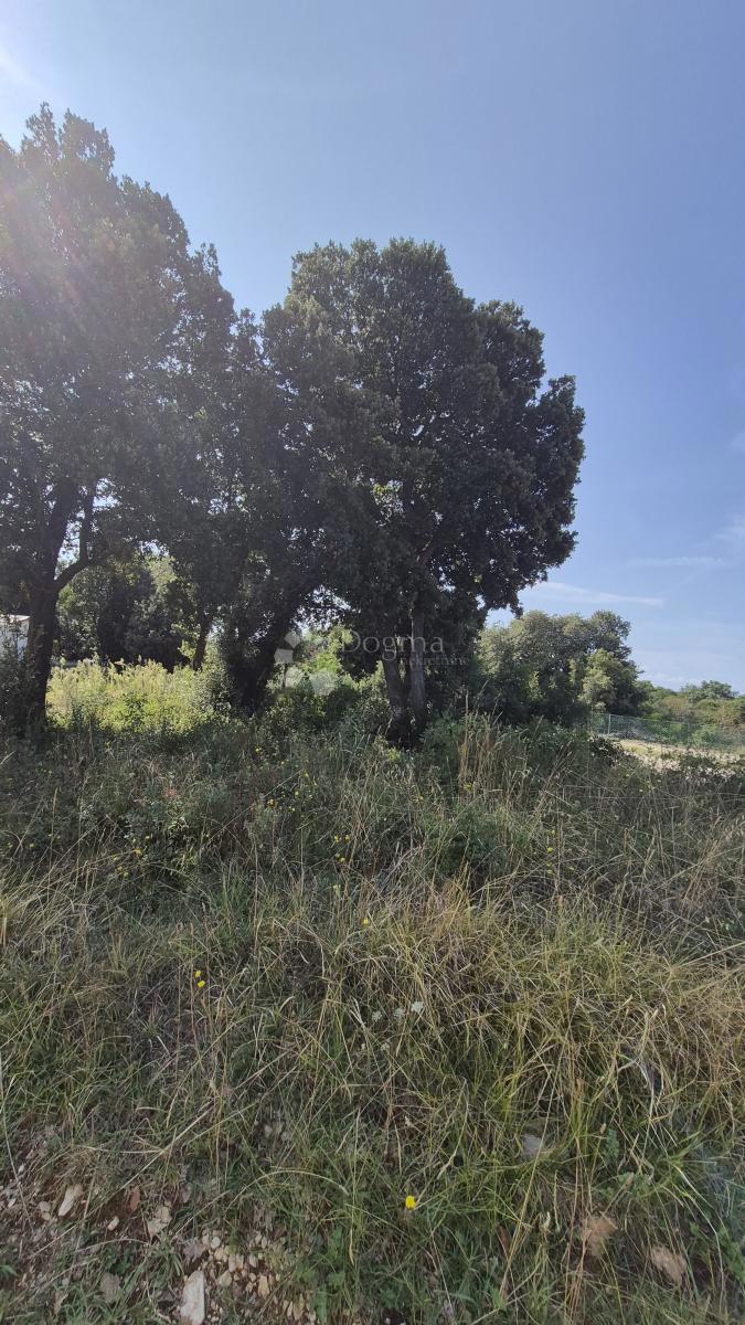 Kmetijska zemljišča v Peroju