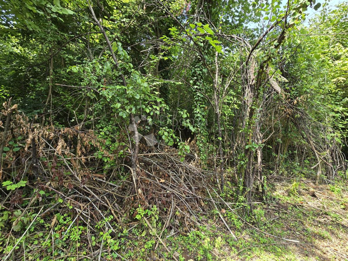 Kmetijsko zemljišče Tržić Tounjski, Tounj, 133.700m2