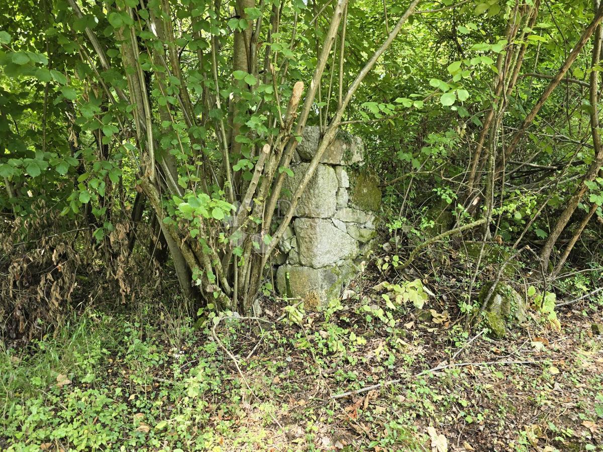 Kmetijsko zemljišče Tržić Tounjski, Tounj, 133.700m2