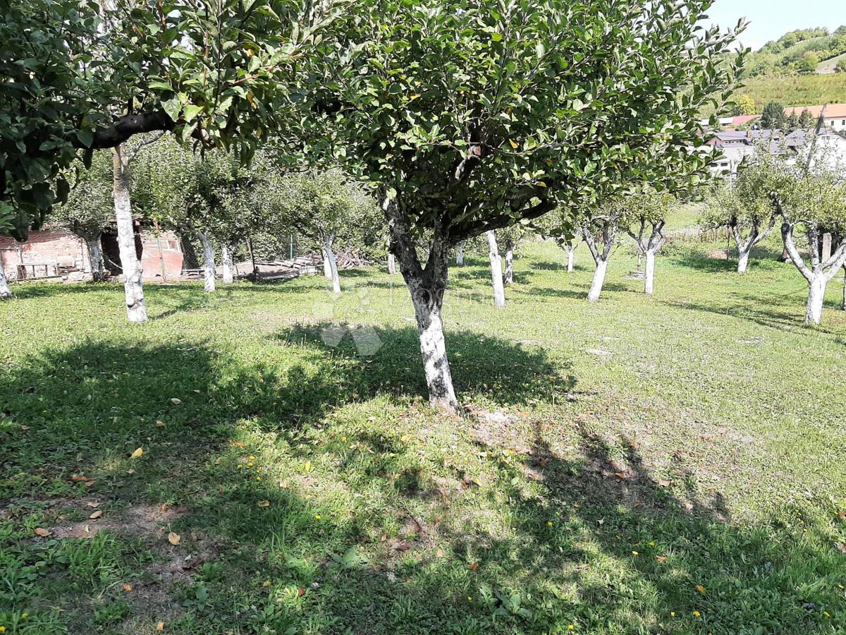 Hiša Gornje Psarjevo, Sveti Ivan Zelina, 214m2