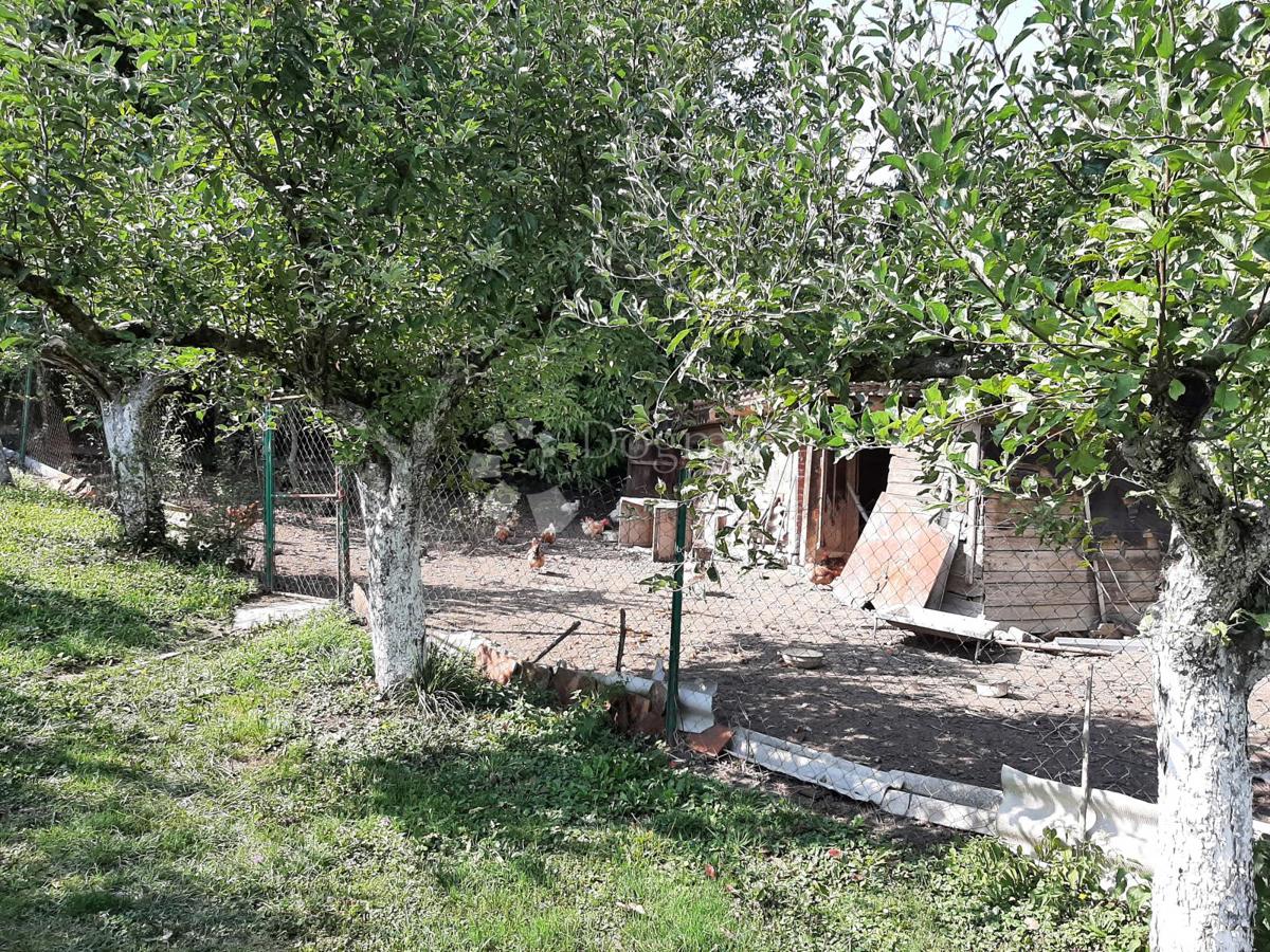 Hiša Gornje Psarjevo, Sveti Ivan Zelina, 214m2