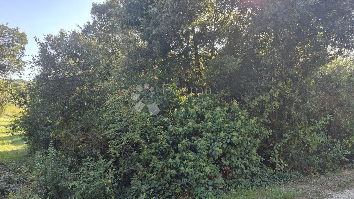 Prodaja se gradbeno zemljišče s površino 1024 m2