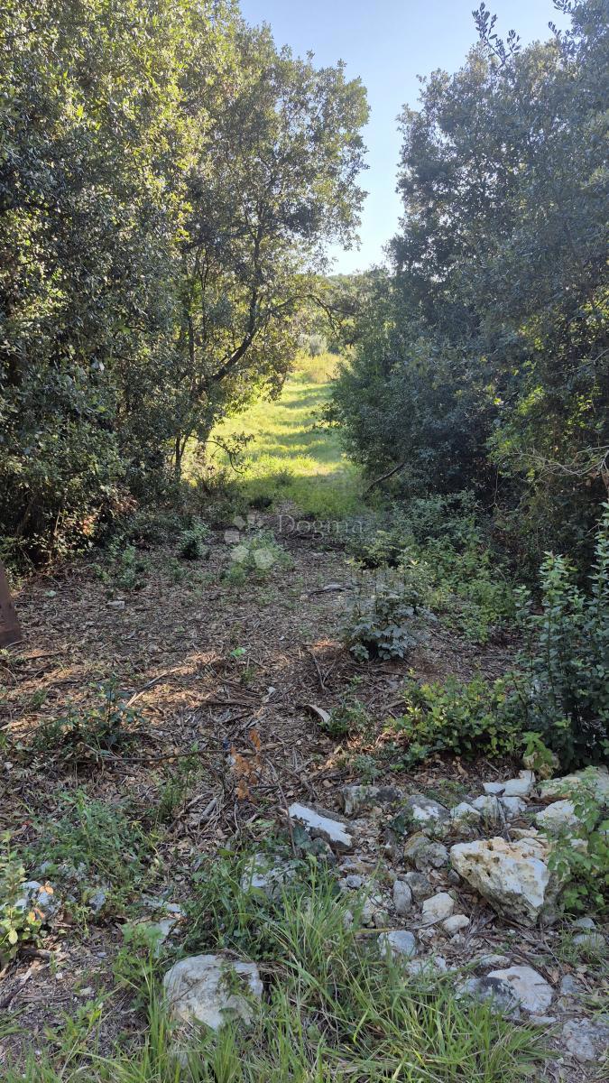 Prodaja se gradbeno zemljišče s površino 1024 m2