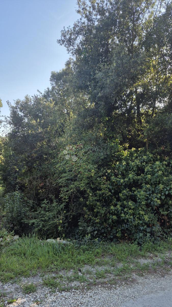 Prodaja se gradbeno zemljišče s površino 1024 m2