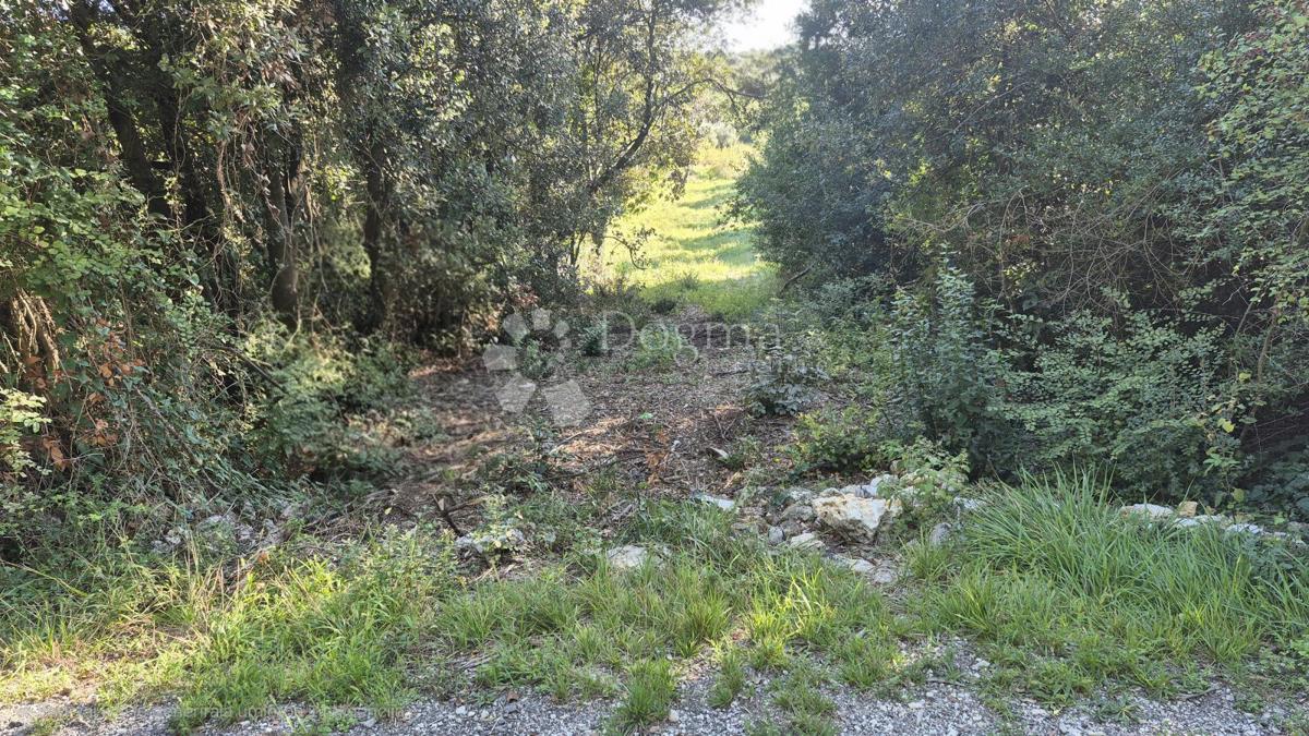 Prodaja se gradbeno zemljišče s površino 1024 m2