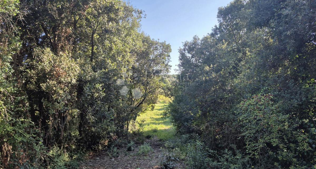 Prodaja se gradbeno zemljišče s površino 1024 m2