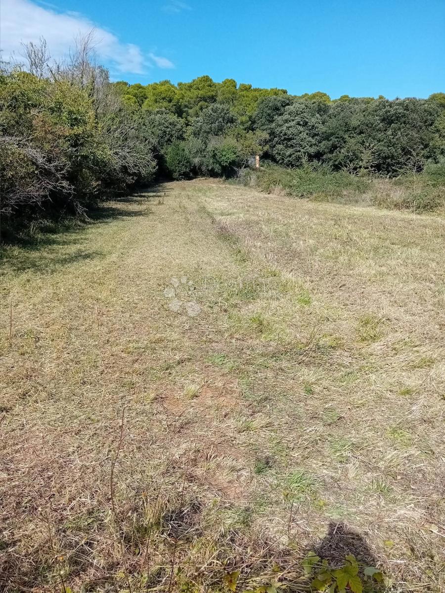 Prodaja se gradbeno zemljišče s površino 1024 m2