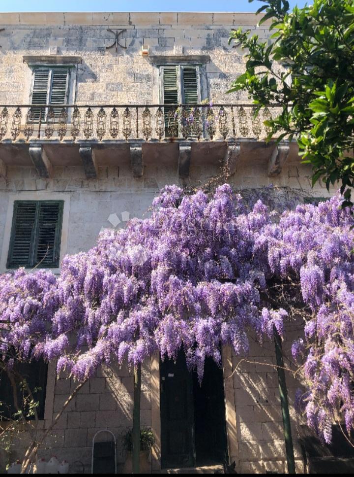 Hiša Zaton, Dubrovnik - Okolica, 600m2