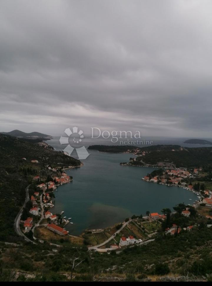 Hiša Zaton, Dubrovnik - Okolica, 600m2