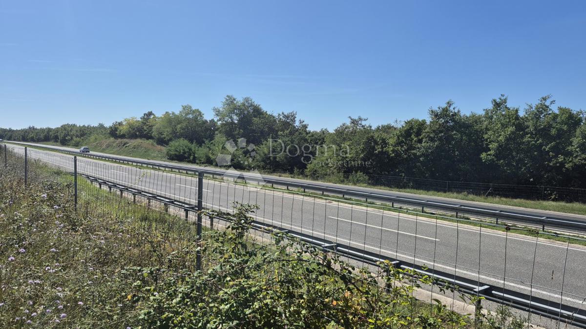 Gozdno zemljišče ob istrskem y 7505 m2