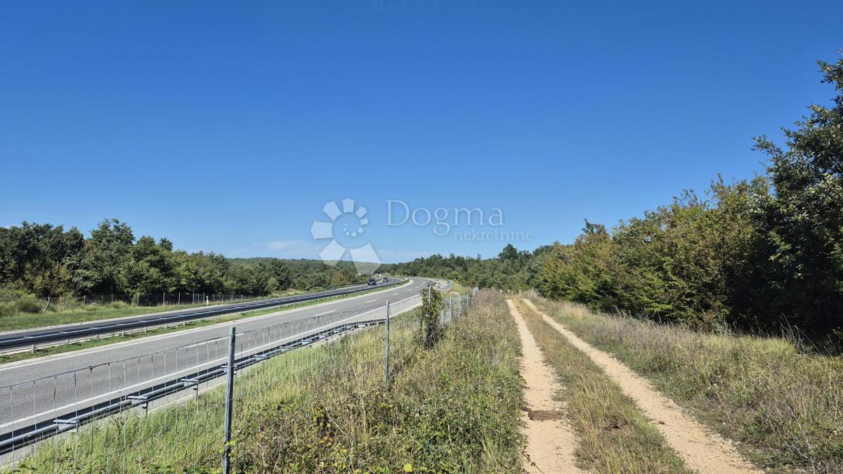 Gozdno zemljišče ob istrskem y 7505 m2
