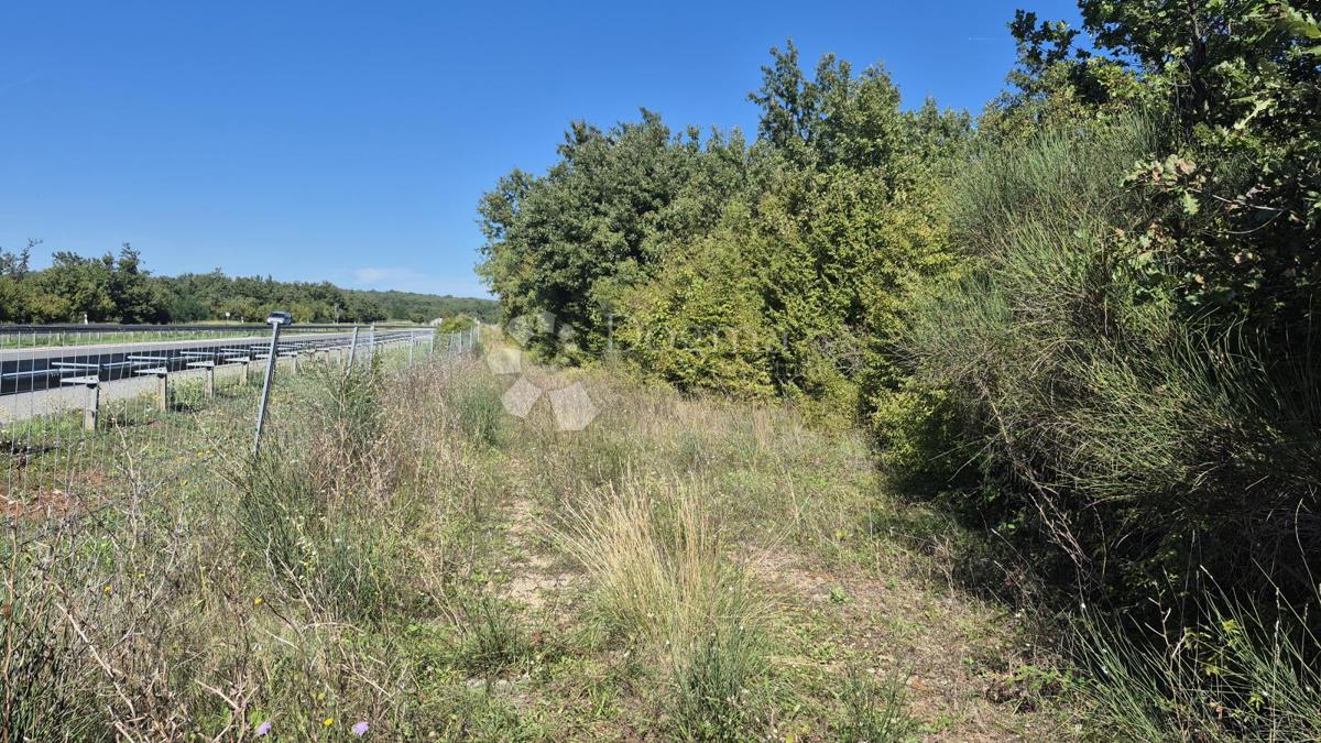 Gozdno zemljišče ob istrskem y 7505 m2
