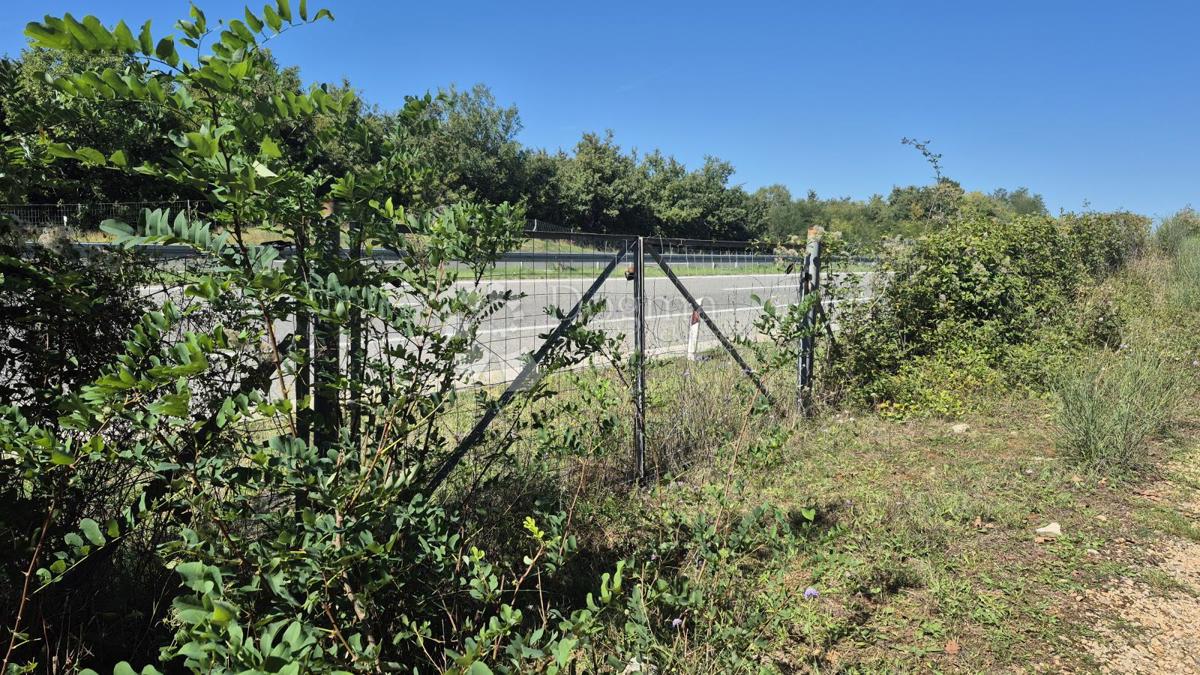 Gozdno zemljišče ob istrskem y 7505 m2