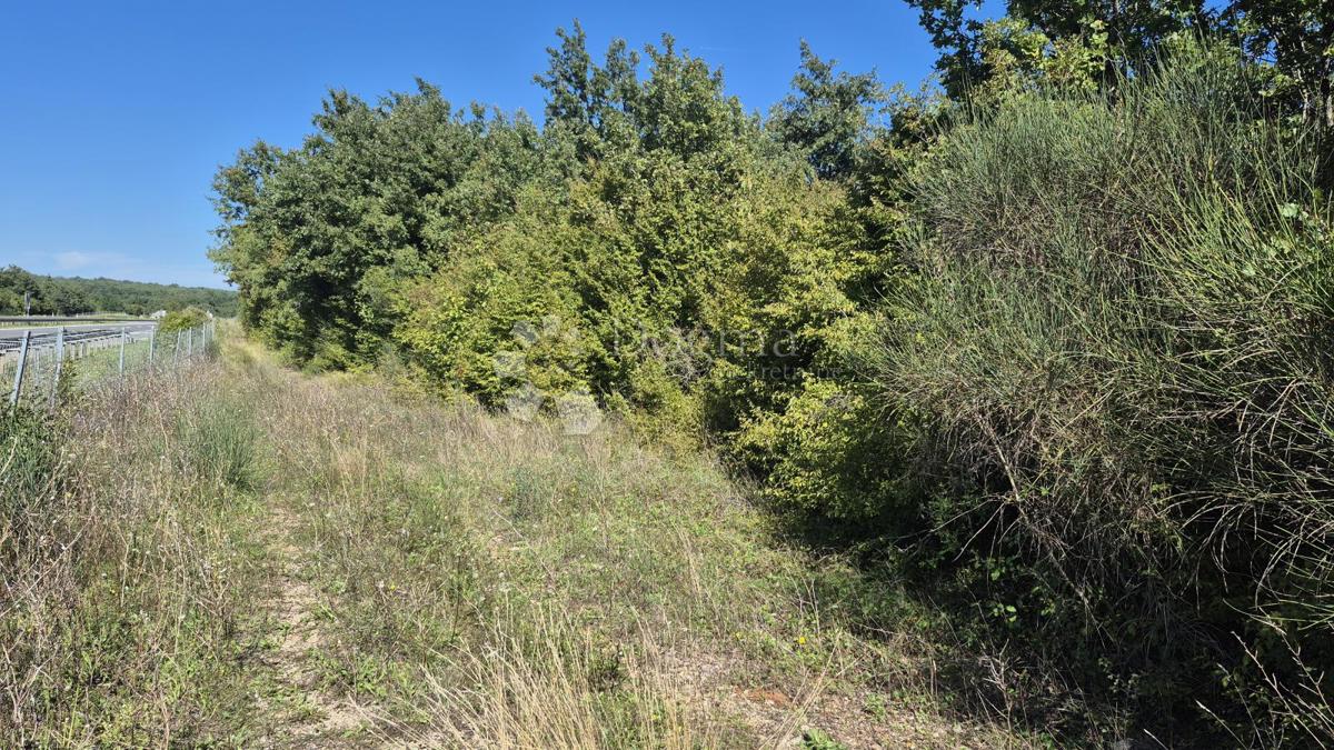 Gozdno zemljišče ob istrskem y 7505 m2