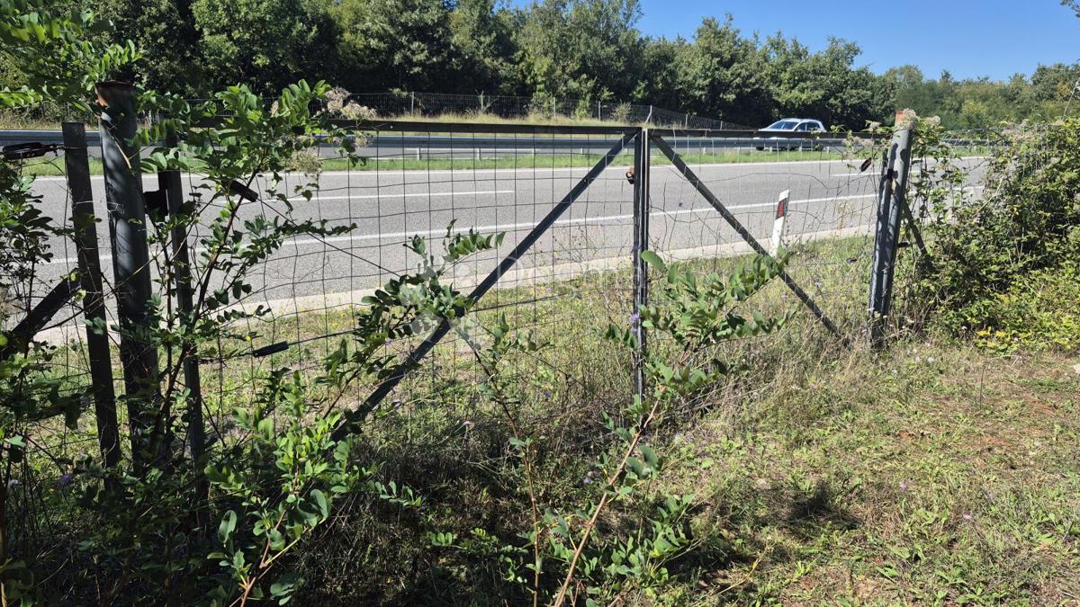 Gozdno zemljišče ob istrskem y 7505 m2