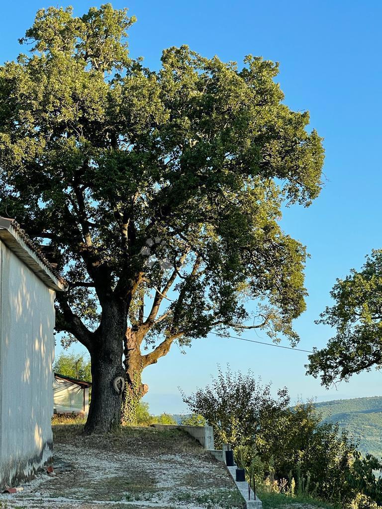 Veliko zazidljivo zemljišče s projektom