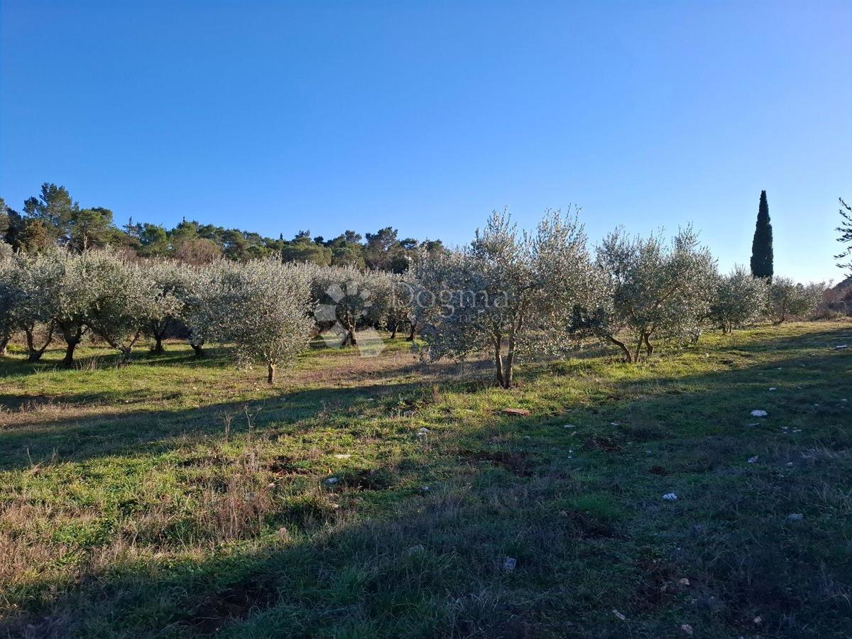 Zazidljivo zemljišče Rakalj, Marčana, 2.422m2