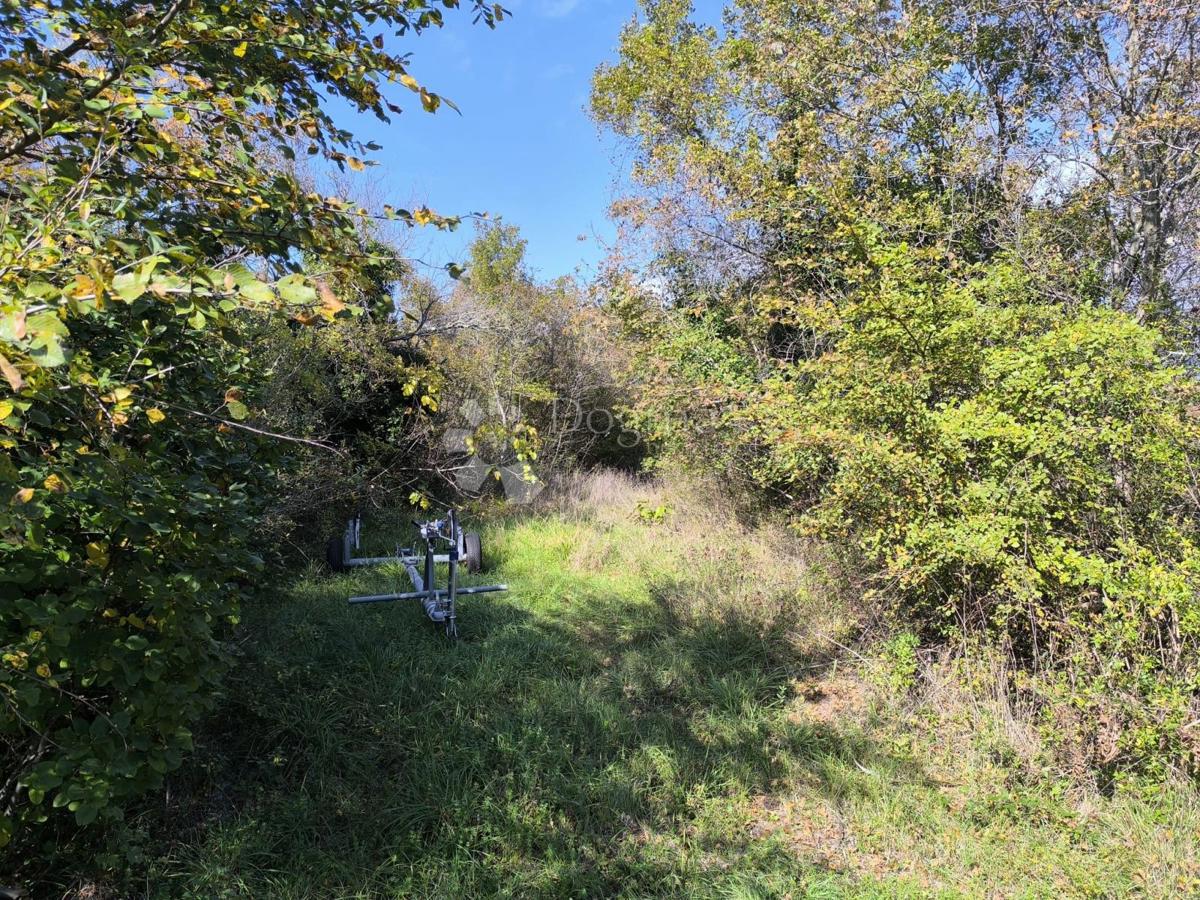 Kmetijsko zemljišče Rasopasno, Dobrinj, 748,50m2