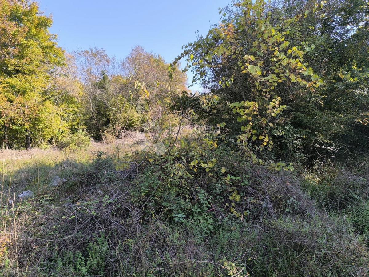 Kmetijsko zemljišče Rasopasno, Dobrinj, 748,50m2