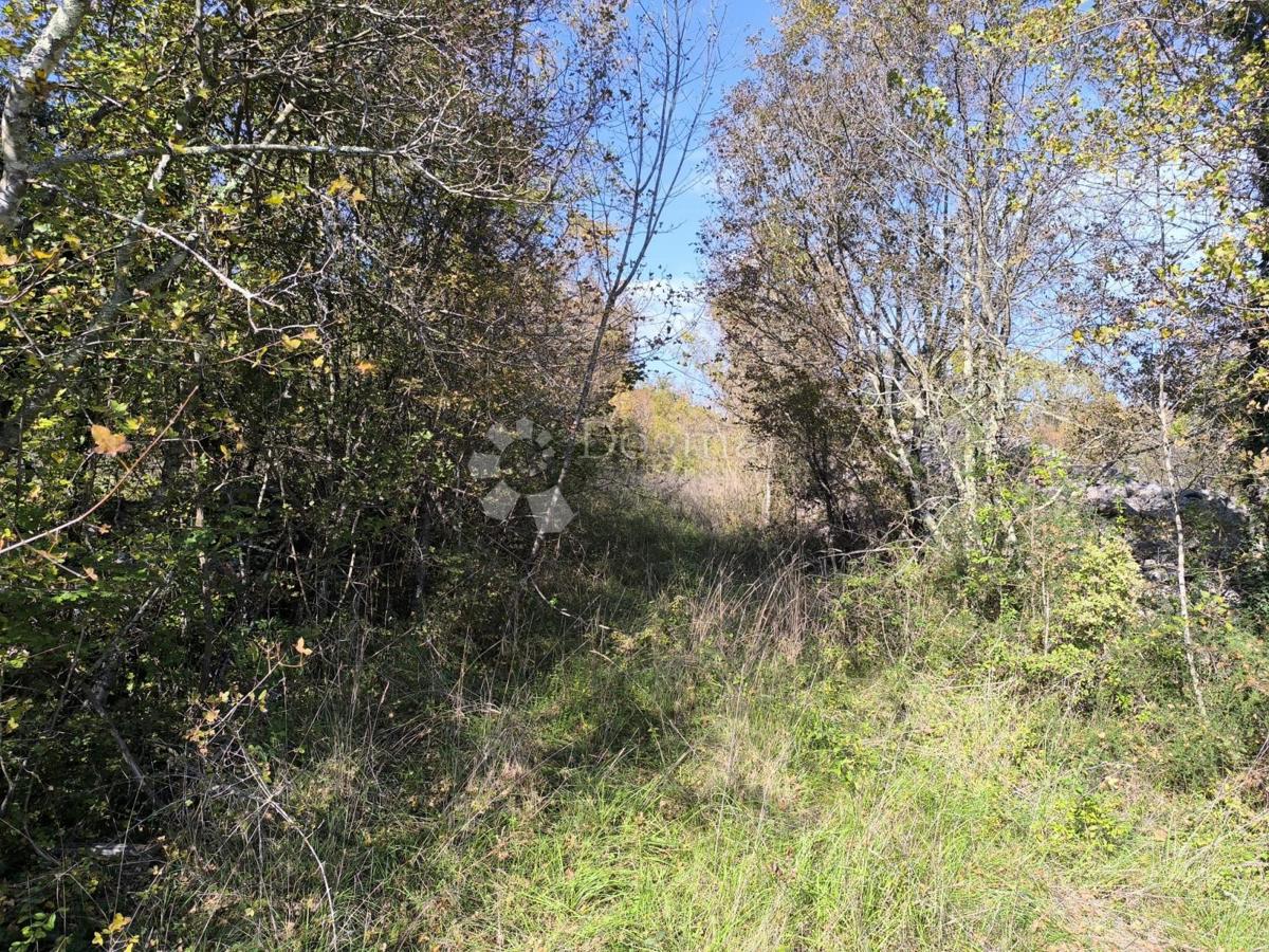 Kmetijsko zemljišče Rasopasno, Dobrinj, 748,50m2