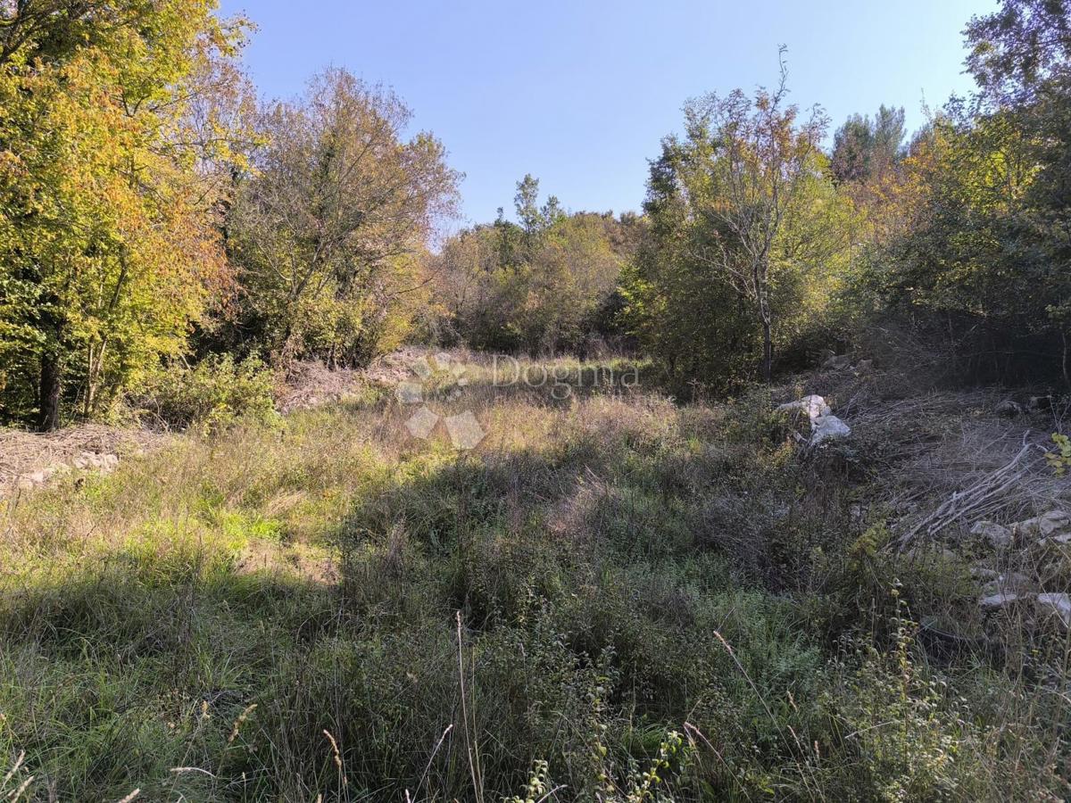 Kmetijsko zemljišče Rasopasno, Dobrinj, 748,50m2