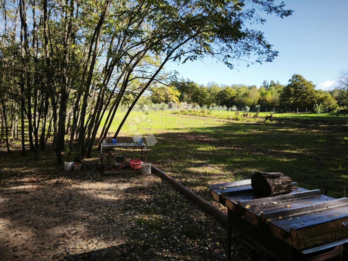 Brtonigla, privlačno kmetijsko zemljišče