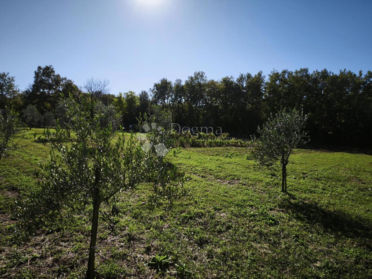 Brtonigla, privlačno kmetijsko zemljišče