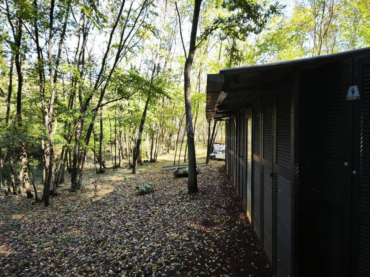 Brtonigla, privlačno kmetijsko zemljišče