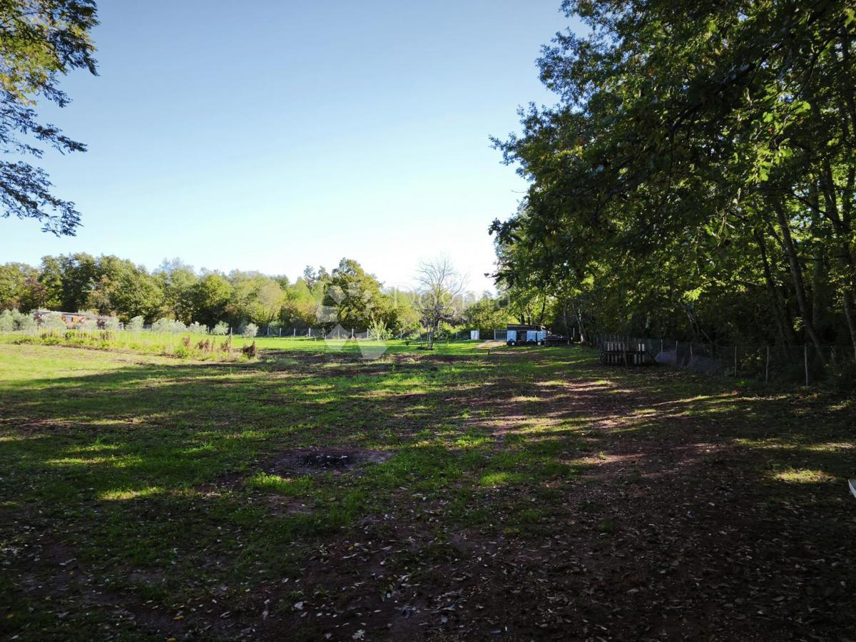 Brtonigla, privlačno kmetijsko zemljišče