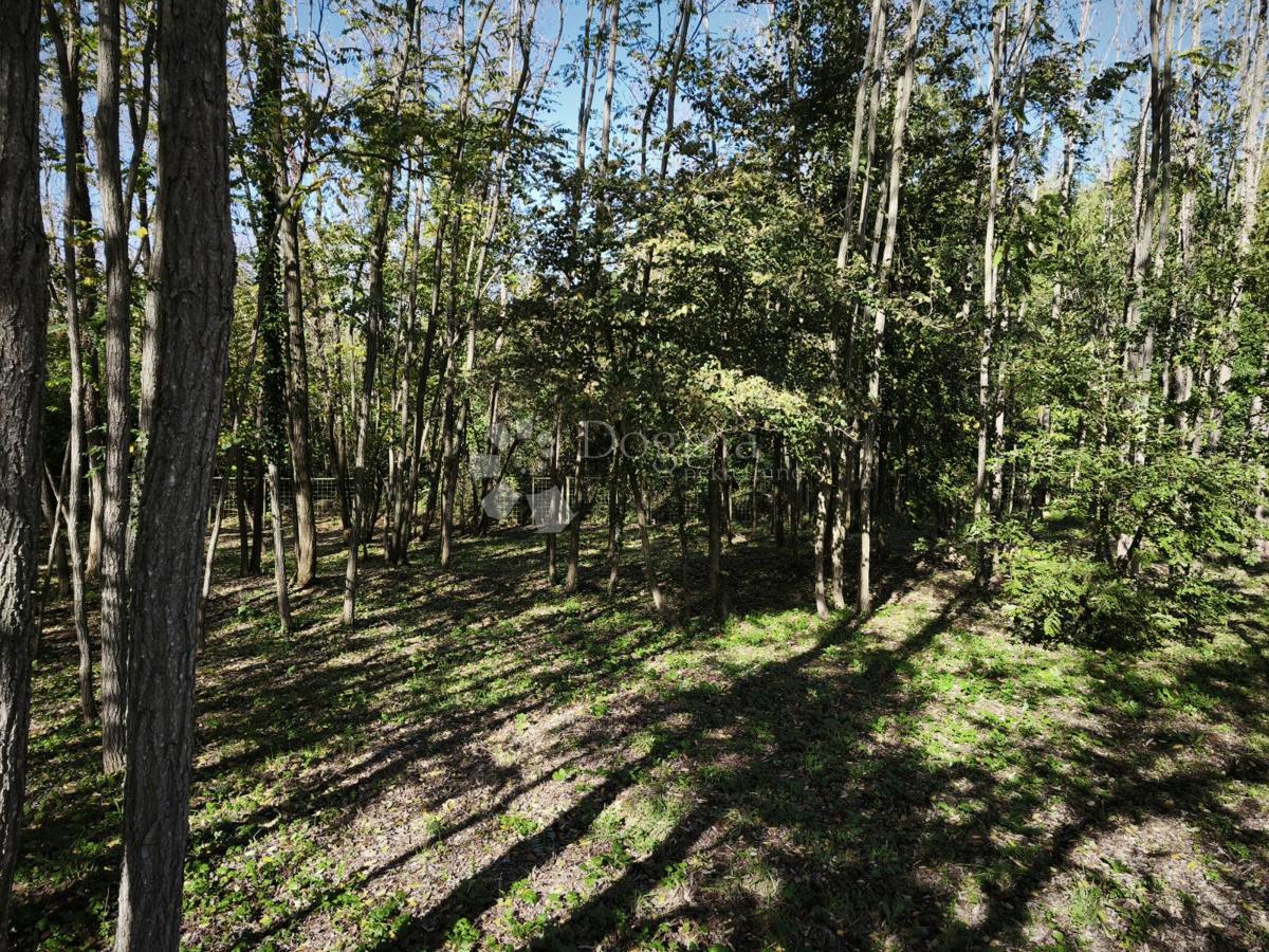 Brtonigla, privlačno kmetijsko zemljišče