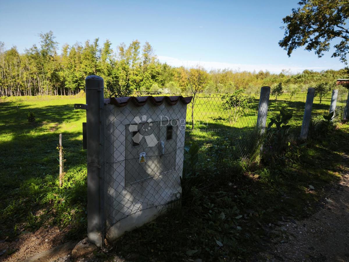 Brtonigla, privlačno kmetijsko zemljišče