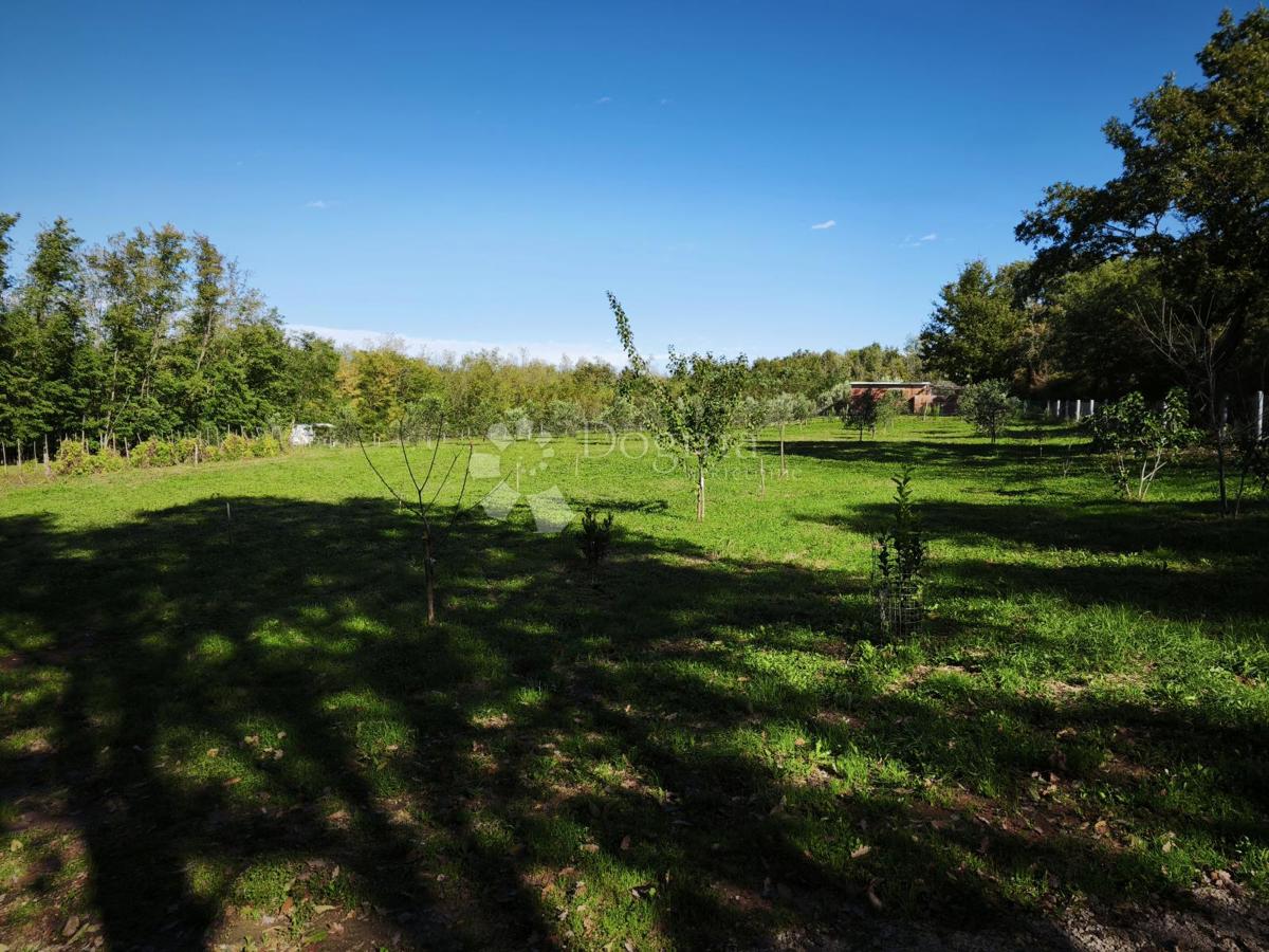 Brtonigla, privlačno kmetijsko zemljišče