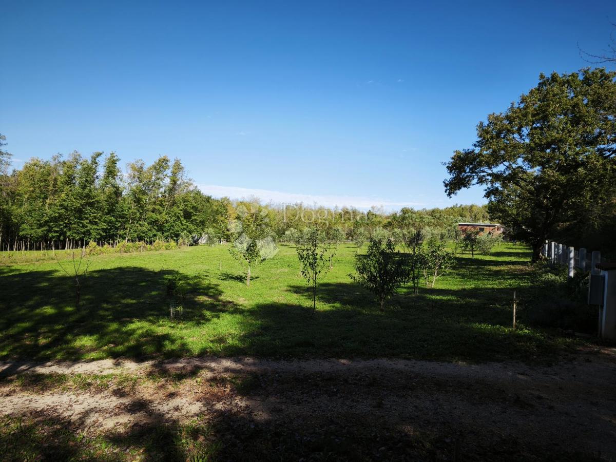 Brtonigla, privlačno kmetijsko zemljišče