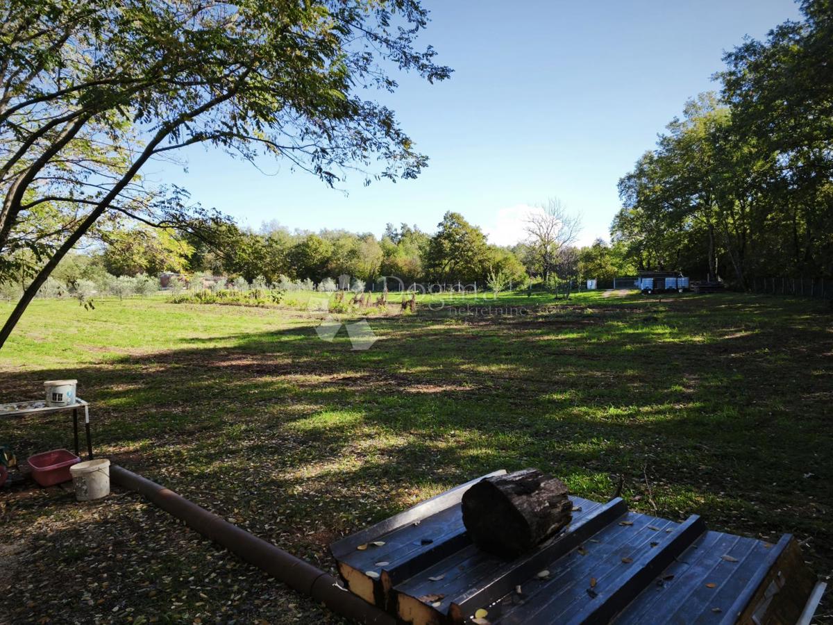 Brtonigla, privlačno kmetijsko zemljišče