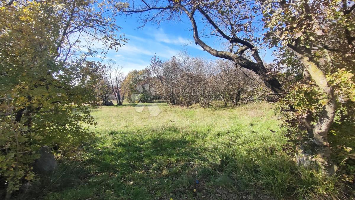 Zazidljivo zemljišče Dražice, Jelenje, 3.567m2