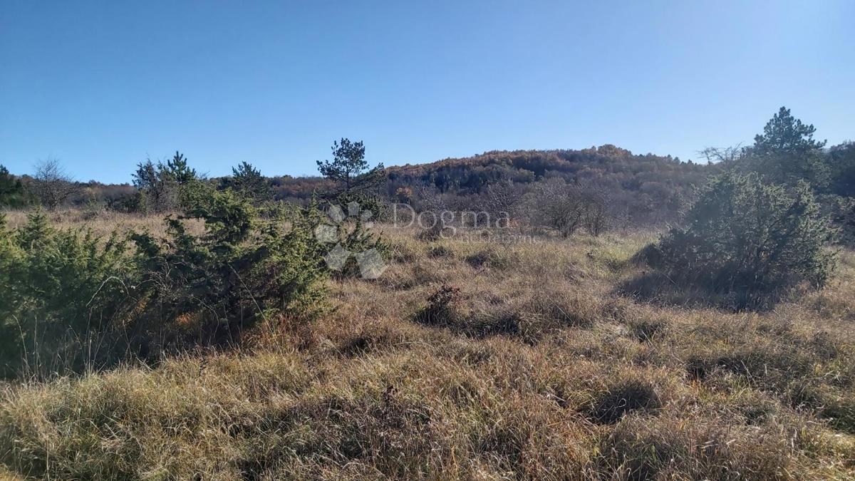 Zemljišče Trviž, Pazin - Okolica, 25.400m2