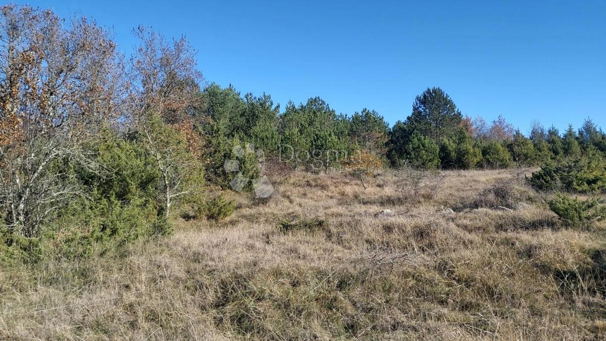 Zemljišče Trviž, Pazin - Okolica, 25.400m2