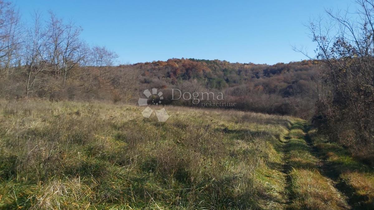 Zemljišče Trviž, Pazin - Okolica, 25.400m2