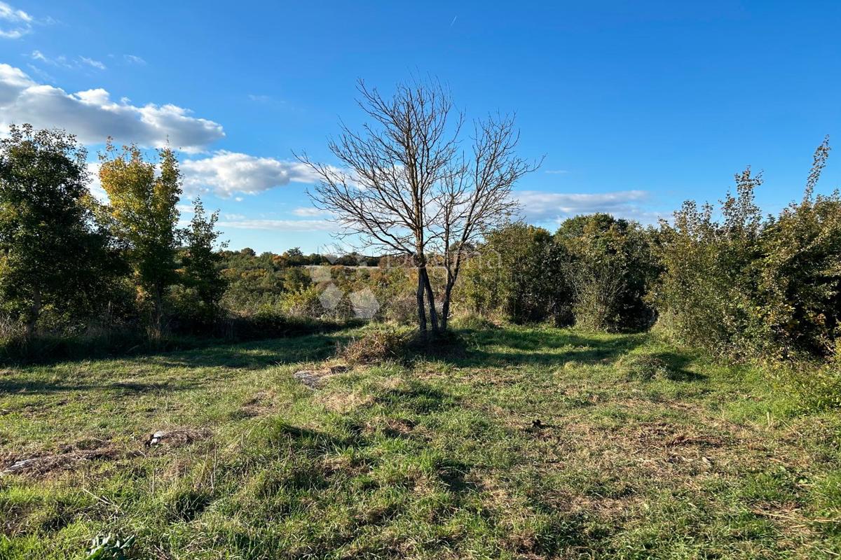 Zazidljivo zemljišče Bale, 1.235m2