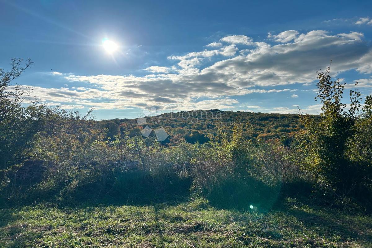 Zazidljivo zemljišče Bale, 1.235m2