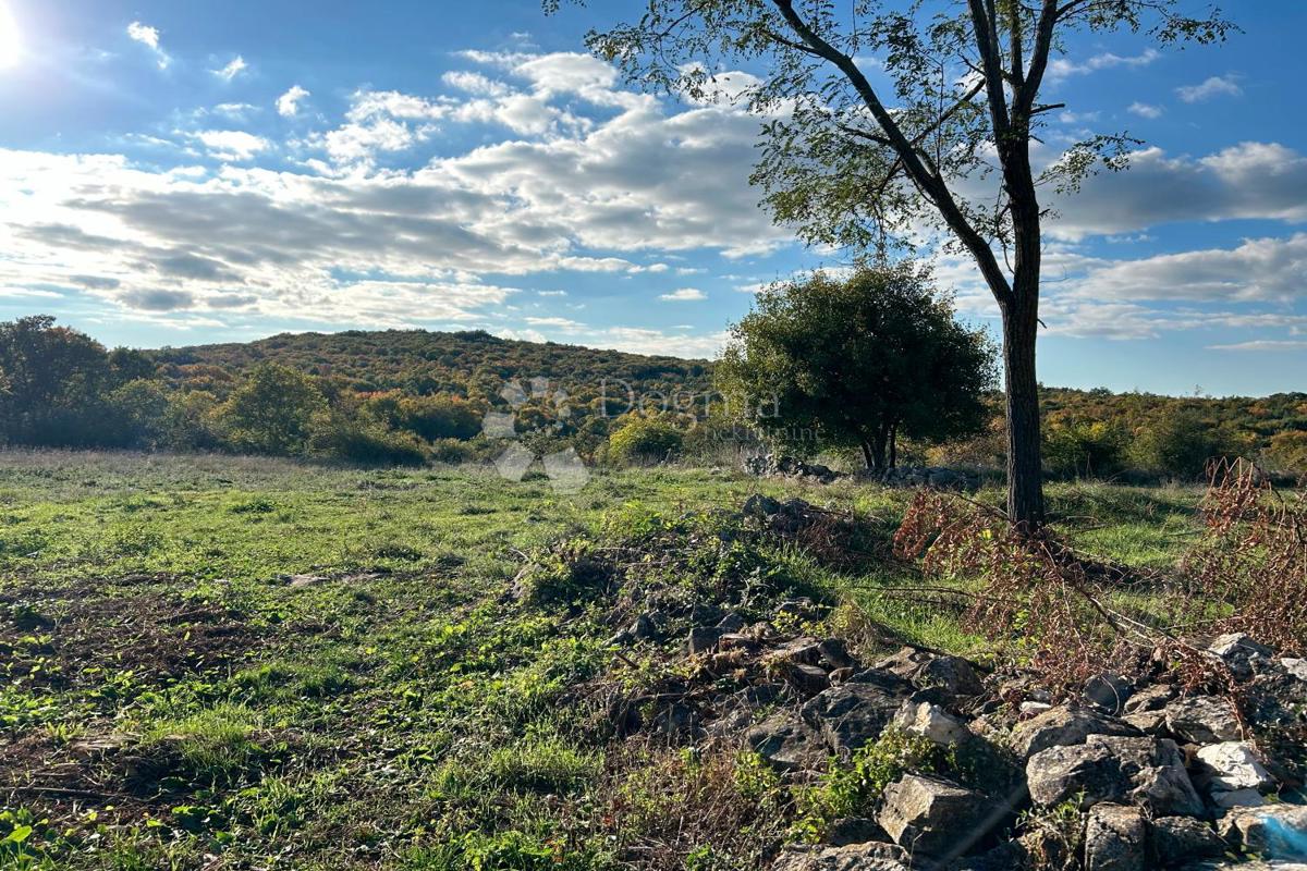 Zazidljivo zemljišče Bale, 1.235m2