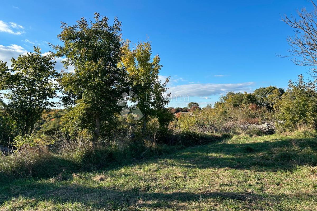 Zazidljivo zemljišče Bale, 1.235m2