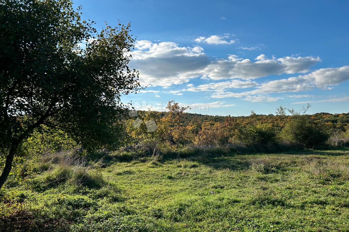 Zazidljivo zemljišče Bale, 1.235m2