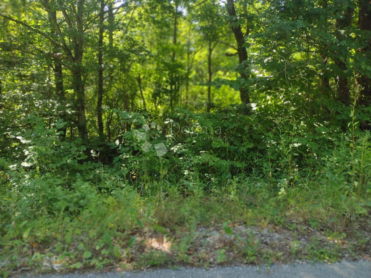 Hiša Čremušnica, Gvozd, 65m2